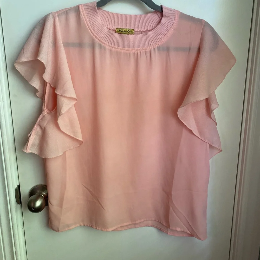 Sheer Pink Ruffle Sleeve Top - Picture 1 of 4